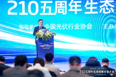 天合光能高紀慶：以協同創新走光伏高質量發展之路